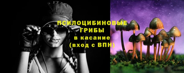 прущие крисы Дмитров
