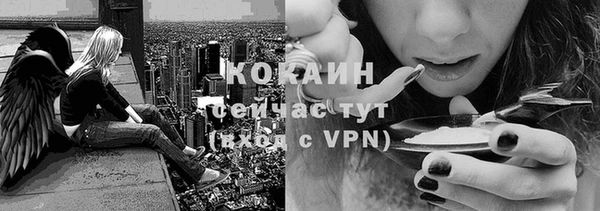прущие крисы Дмитров