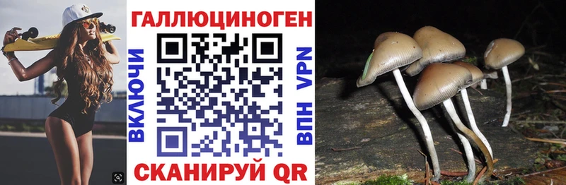 Купить  Прокопьевск  Галлюциногенные грибы Magic Shrooms 
